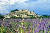 Premium Rhône Cruise