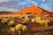 Namibia & the Pride of Africa