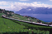 The Venice Simplon Orient Express