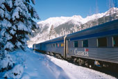 The Canadian at Christmas