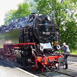 The Selketalbahn