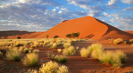 Namibia & The Pride of Africa