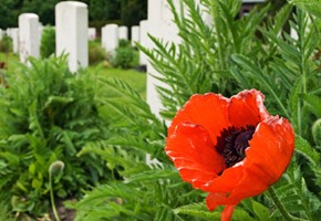 Battlefield Tours