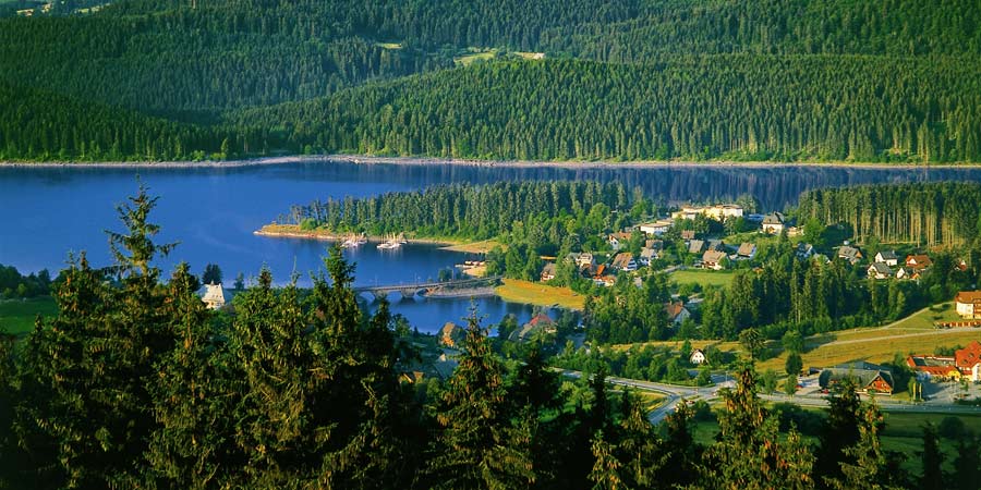 Black Forest