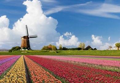 Springtime Tulips and Keukenhof Gardens Rail & Cruise Tour