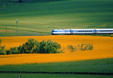 NSW Trainlink XPT