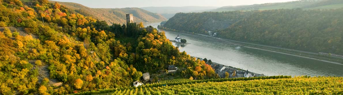 Rheinsteig, River Rhine Rheinsteig, River Rhine