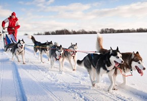 Top winter travel experiences