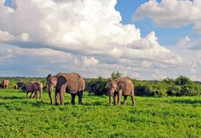 Victoria Falls