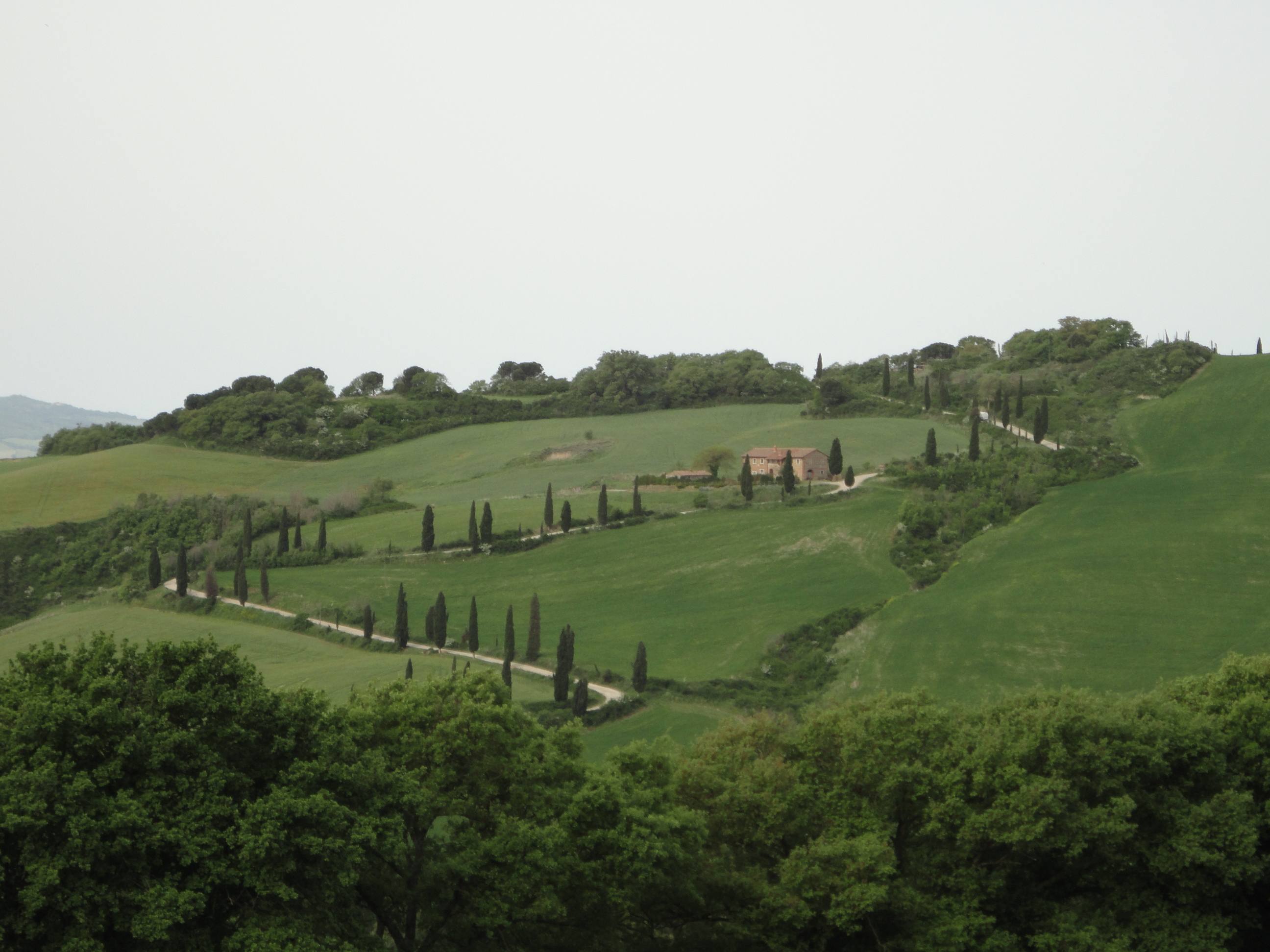 Cypress Road Val d'Orcia