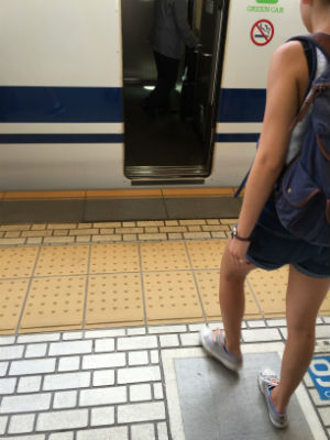 Japan Train Nogap 300