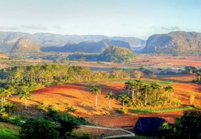 Vinales Valley Plantation