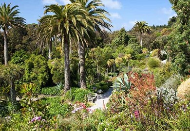 escorted tours and gardens Doble dildo anal video