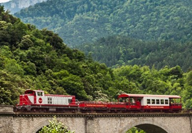 The Red Train