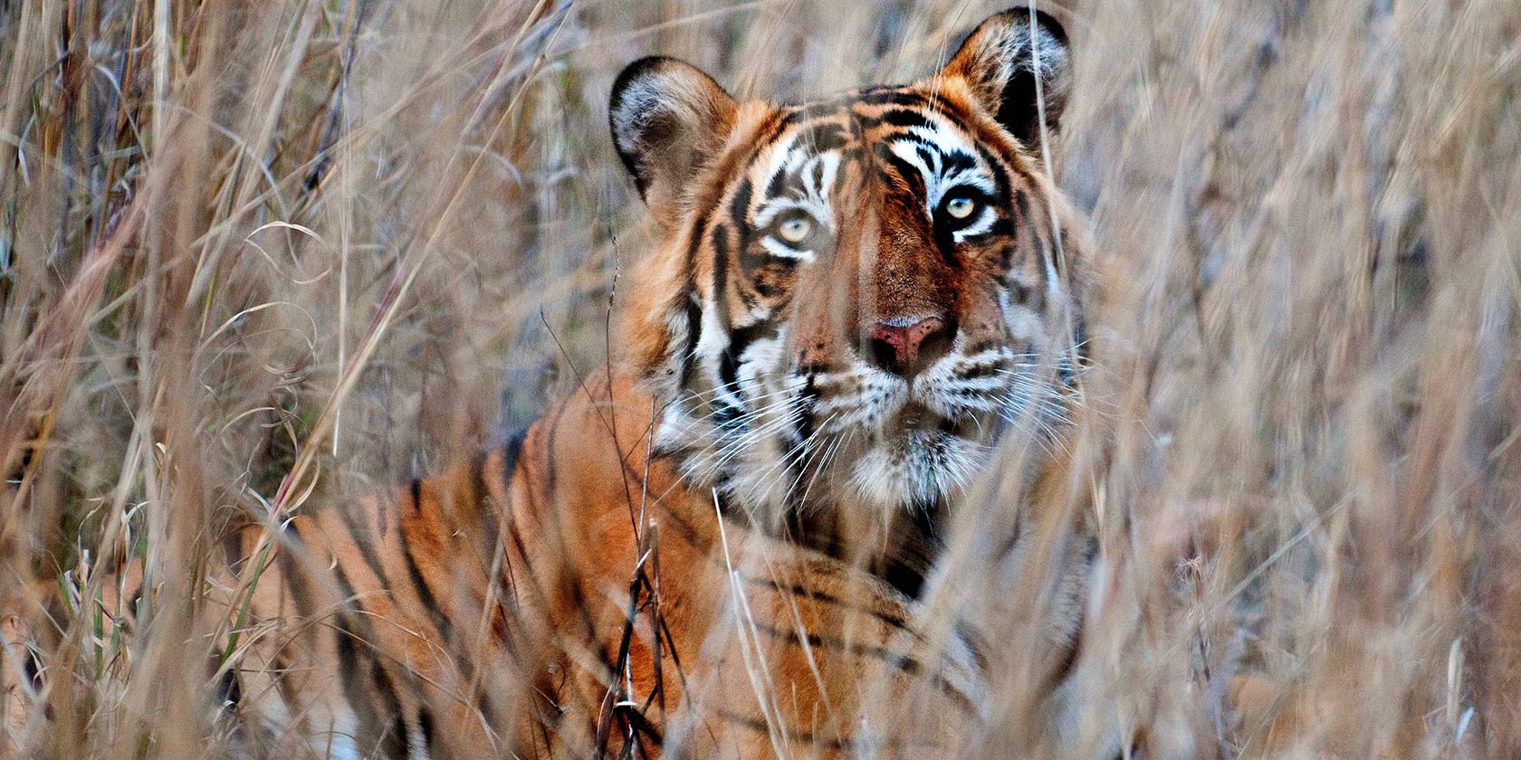 Escorted Rail Tours Of India Escorted Rail Tours Of India