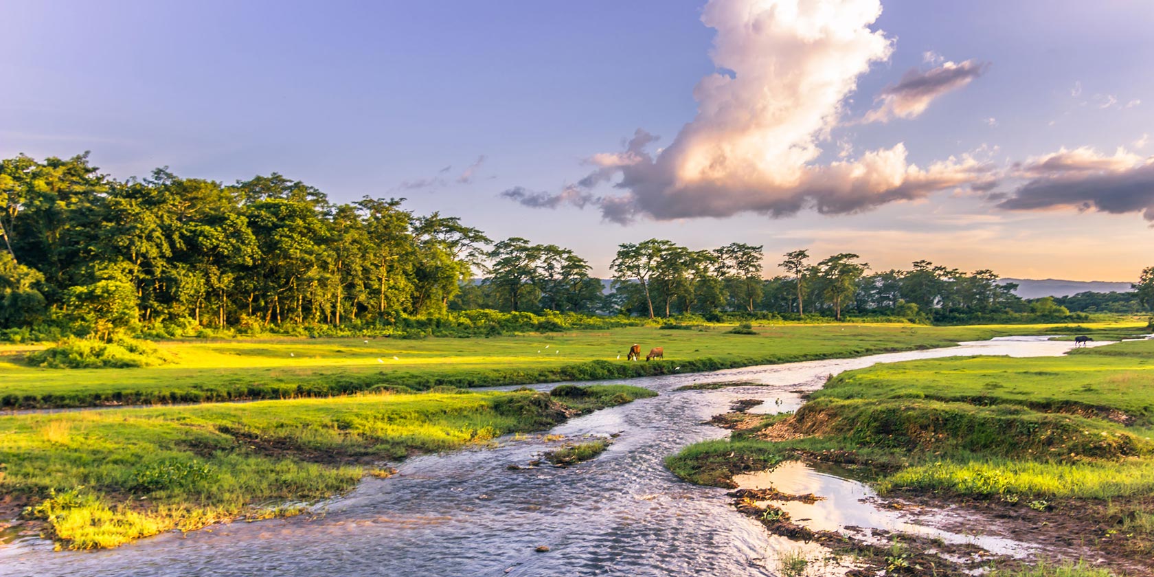 Chitwan Train Holidays & Rail Tours Great Rail Journeys