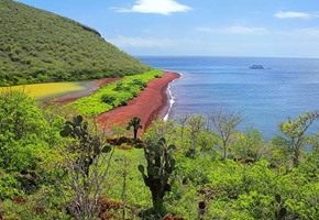 Rabida Island, Ecuador