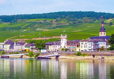 Premium Rhine Cruise
