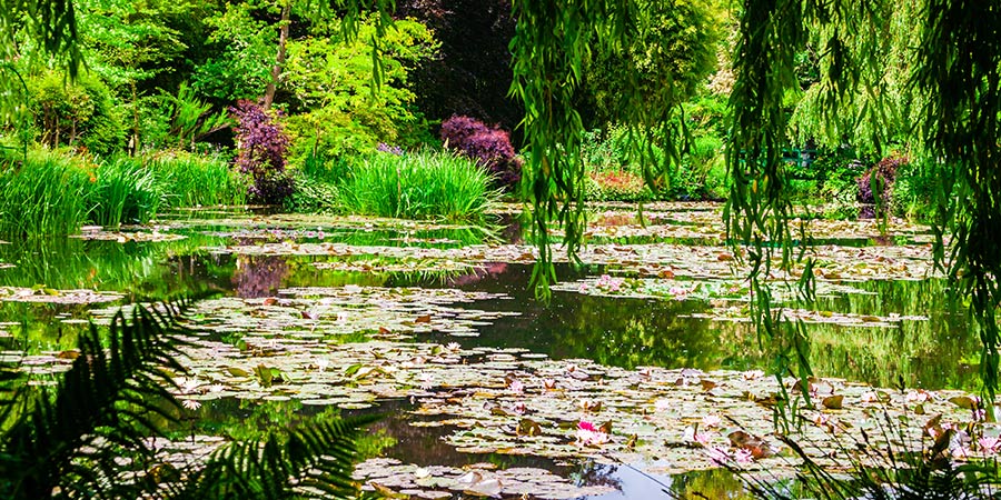 Monet's Garden
