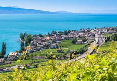 Lavaux vineyards Lavaux vineyards