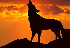 Monsters and Myths – Cryptids of the World