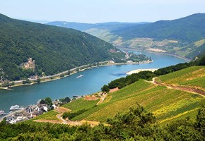 River Rhine