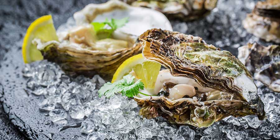 Rock Oysters