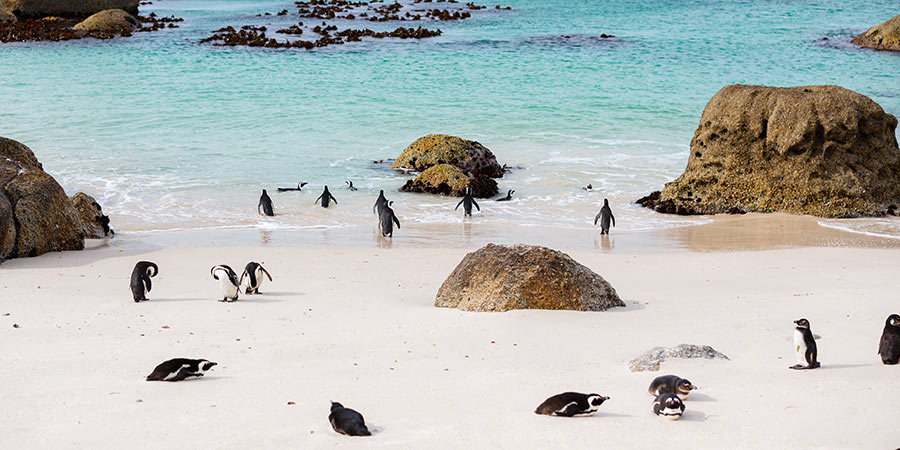 Boulders Bay