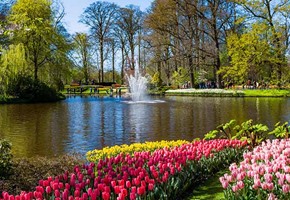 Keukenhof Gardens