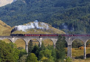 Steam train on viaduct