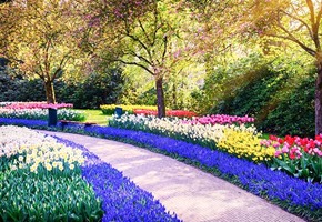 Keukenhof Gardens
