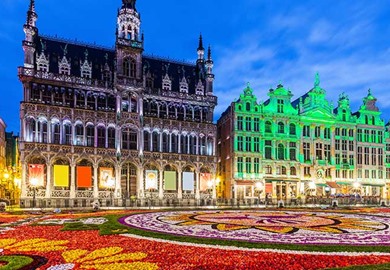 Brussles Flower of Carpets Brussels
