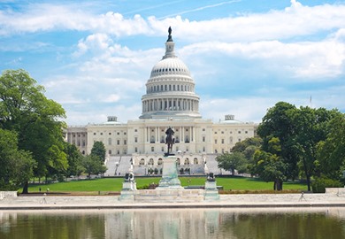 Washington D.C.