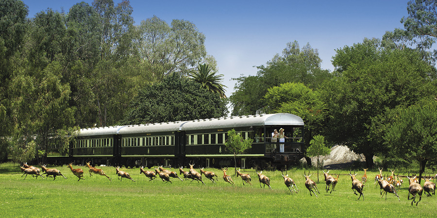 Botswana and Victoria Falls Tours: A Classic Southern African Journey - Introduction