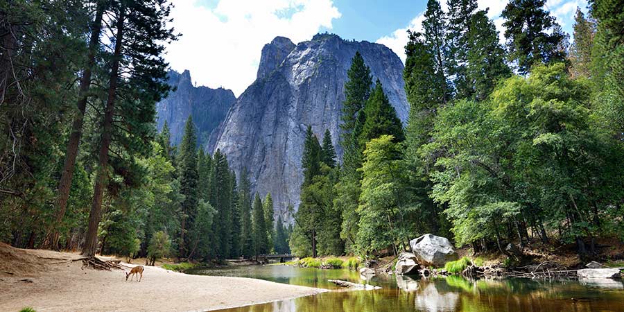 Yosemite National Park