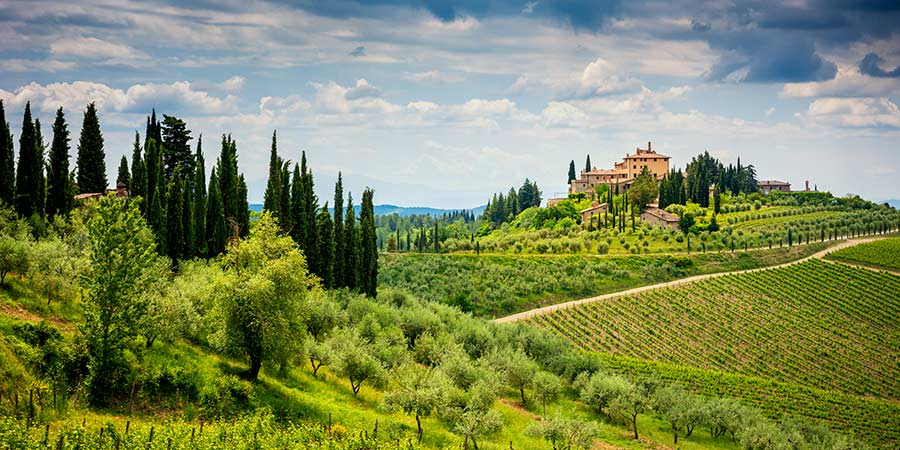 Chianti Hills