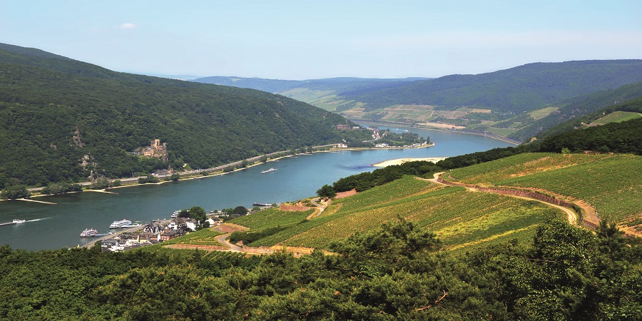 Cruising through the magnificent Rhine Gorge