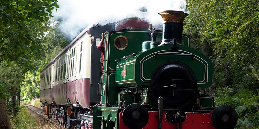 Journeying on the Royal Deeside Steam Train