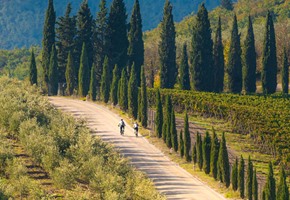 Chianti Bike Tour with Lunch & Tasting