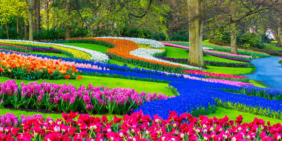 Keukenhof