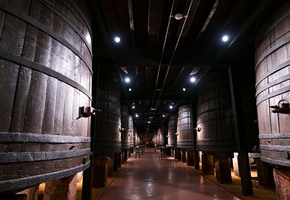 Rioja Experience: Wine, Culture & Gastronomy