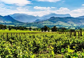 Winelands Tour Full Day