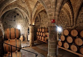 Guided Tour of Chateaux du Chillon with Wine Tasting