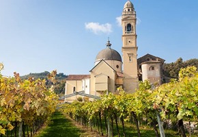 Private Amarone and Valpolicella Wine Region Full day Tour 