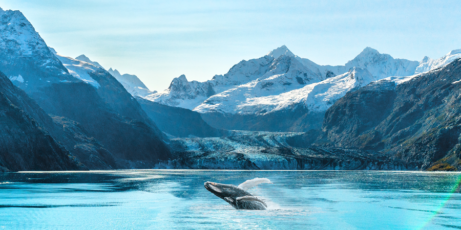 Discovering Unforgettable Adventures - Great Rail Journeys and River Cruise Charters