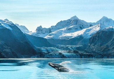 Rockies Lake and Mountains
