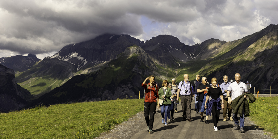 Small Group Tour