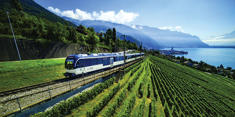 Escorted Tour