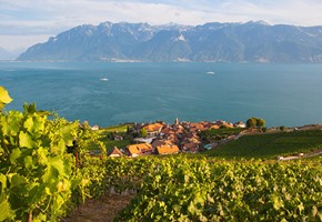 Lake Geneva