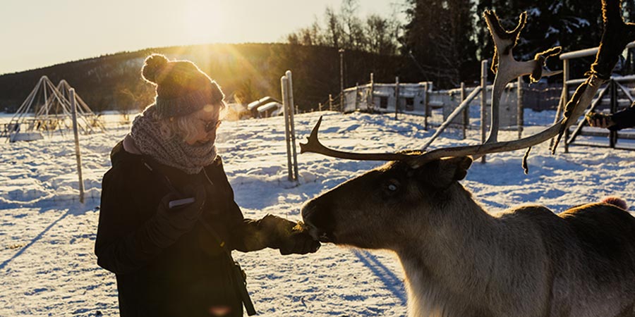 The Northern Lights and Lapland Tour | Great Rail Journeys